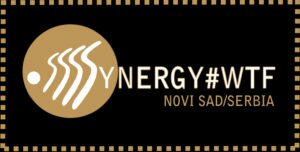 Synergy Theater Fest Logo Black
